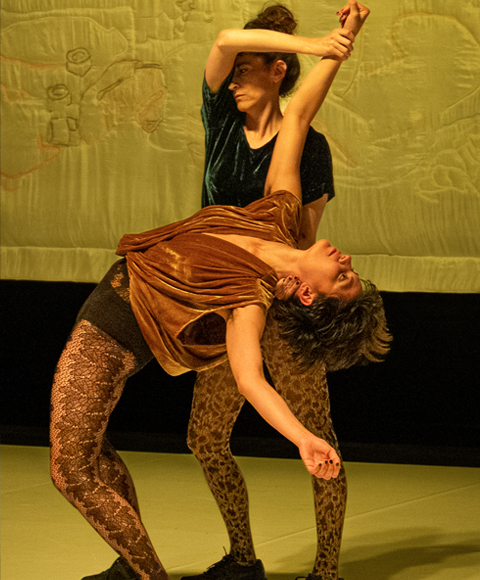 Espectacle: LARA BARSACQ