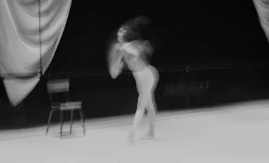 Espectacle Swan