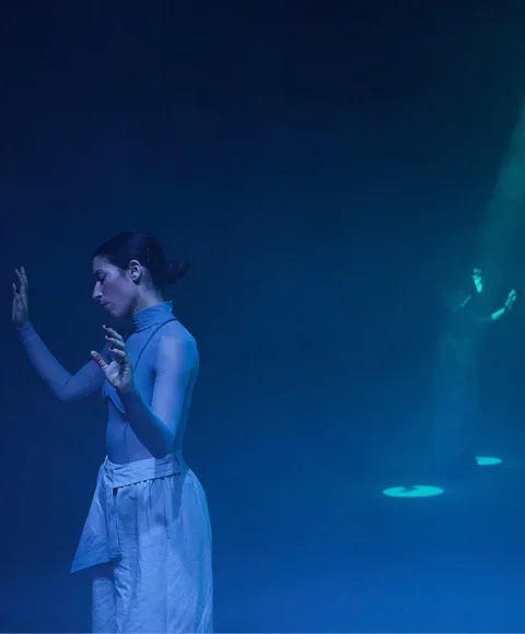 Espectacle: WE ARE NOVIAS - WAN