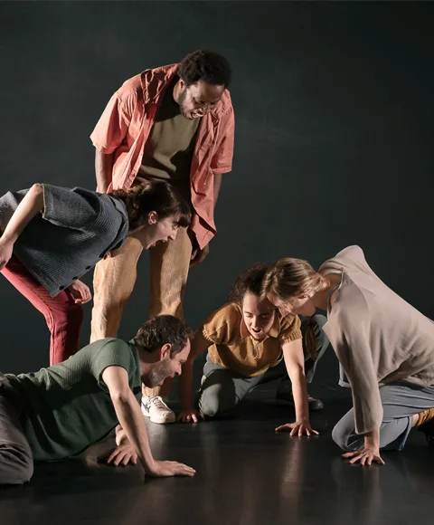 Espectacle: JOÃO LIMA