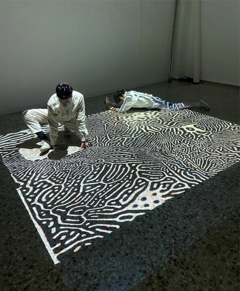 Espectacle: TAIAT DANSA