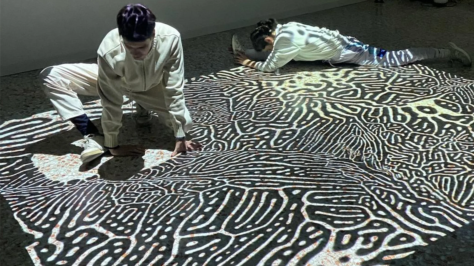 Espectacle: TAIAT DANSA