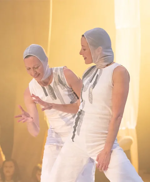 Espectacle: CIA BLINK FLASH