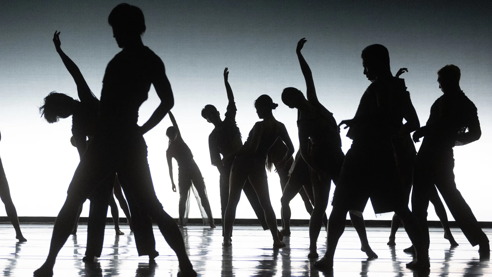 Espectacle: KOREA NATIONAL CONTEMPORANY DANCE COMPANY KNCDC