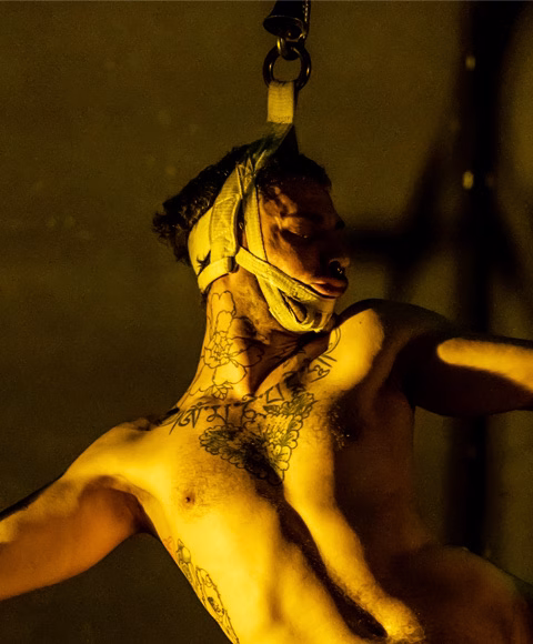 Espectacle: CIRQUE DÉSOLÉ