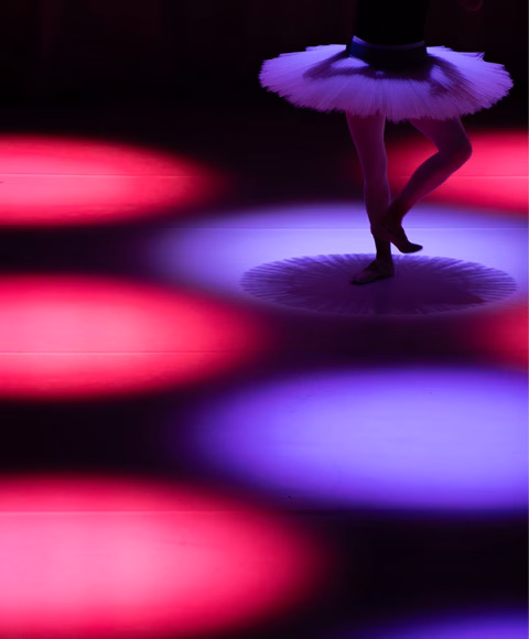 Espectacle: CUQUI JEREZ